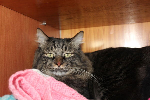 Светлана Вяткина