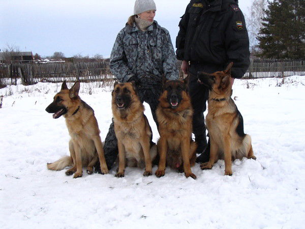 Татьяна Головашкина