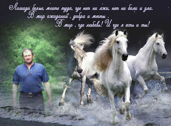 Николай Егоров