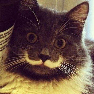 Даниил Римша