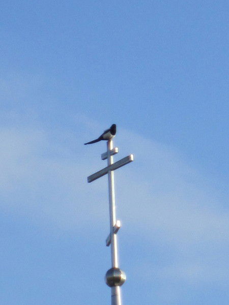 Евгений Герасимов