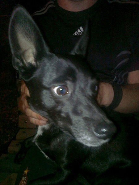 Александр Блохин