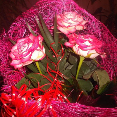 Надежда Федченко