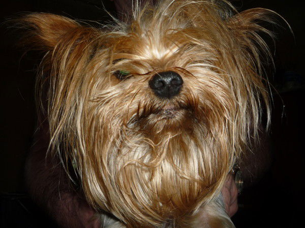 Хеппи Хеппи