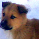 Svetlana Svetlana
