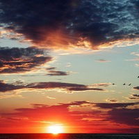 Антон Белов