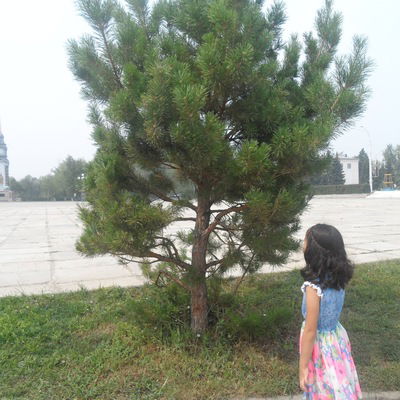 Айдана Сейтжанова