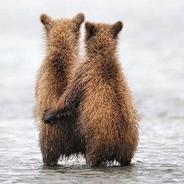 Катька Денисова