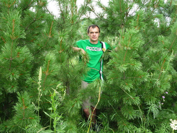 Сергей Лаврентьев