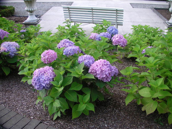 Индира Юсупова