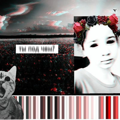 Дарья Руслановна