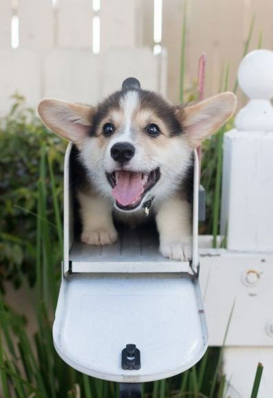 Ангелина Шевцова