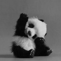 Михаил Шинко