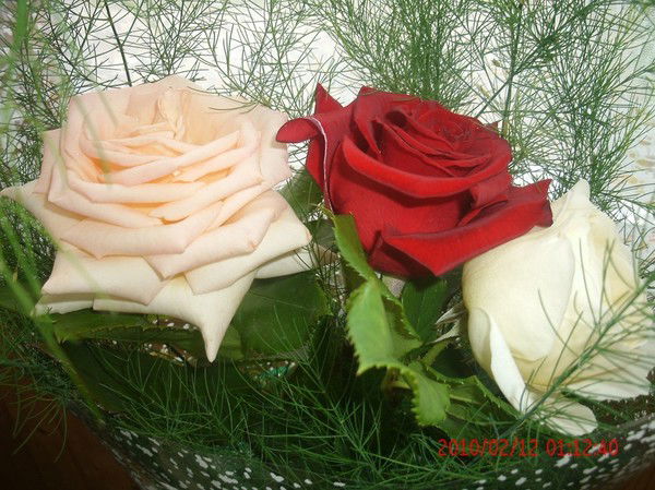 Валентина Толпеева