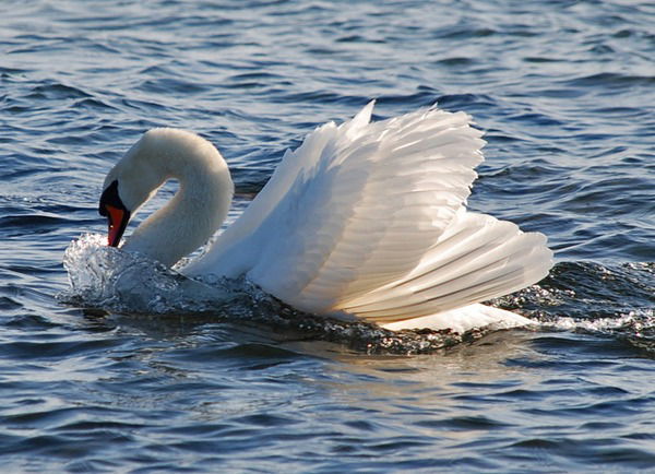 Марина Сметанникова