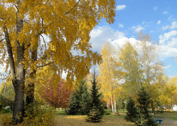 Юрий Капустин