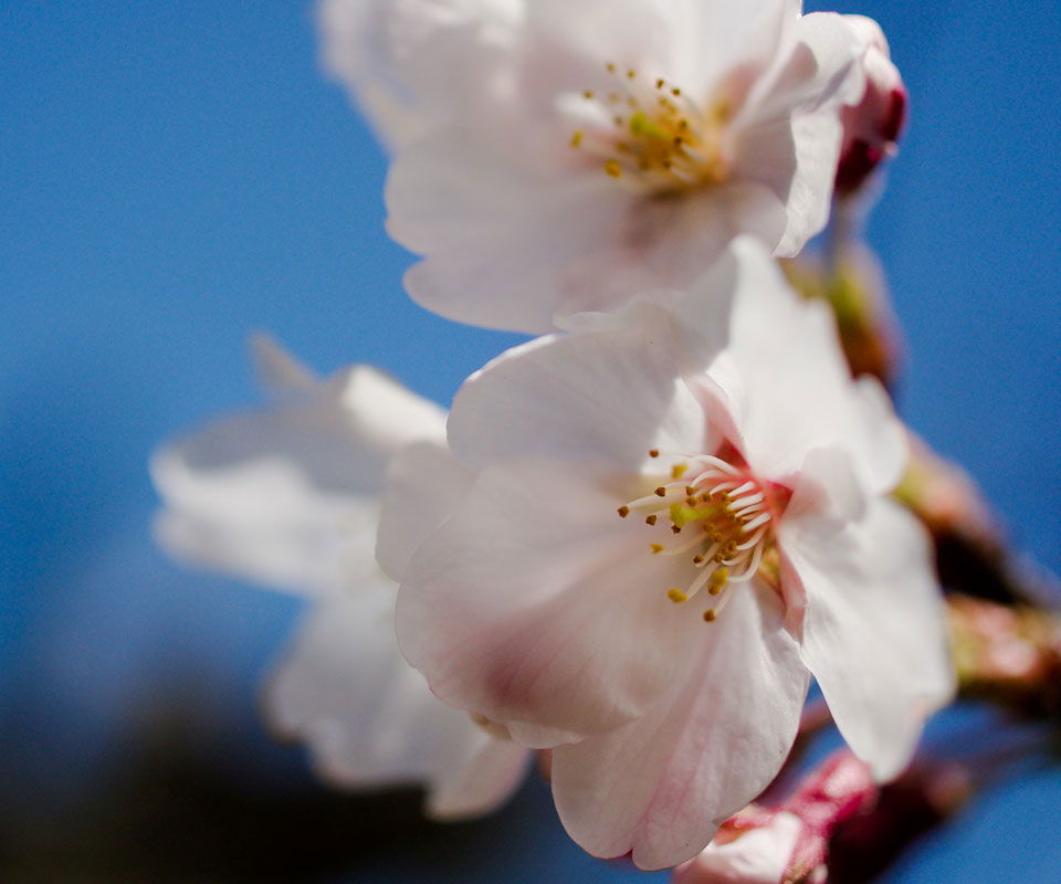 Гульнара Аймагамбетова!