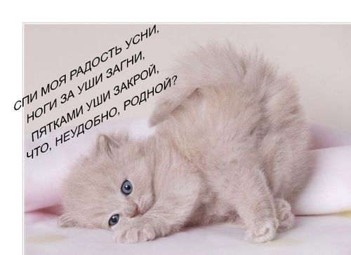 Клондайковна Только Клондайк