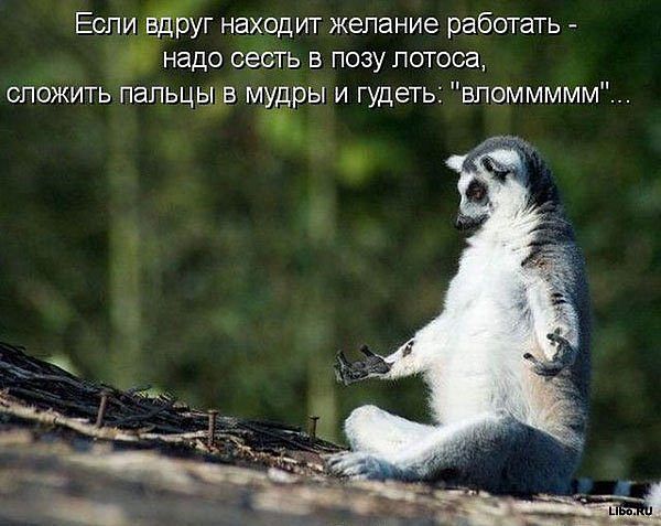 Маруся Н..........