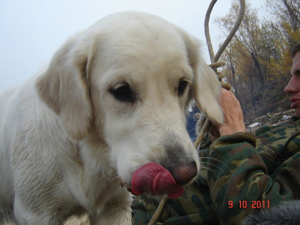 Дашкушчик :))))))))