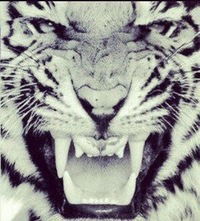 Катя Марьина