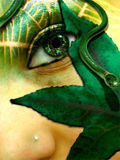 Татьяна Кораблева