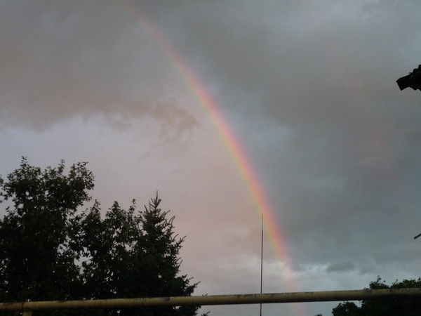 Алена Алексеева