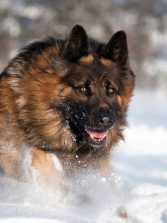 ?????????? ??????????????????????