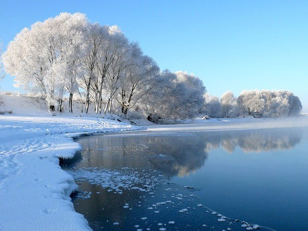 Динара Елеусизова