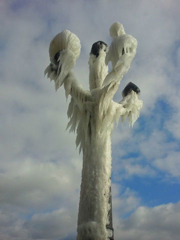 Тарамтарам *