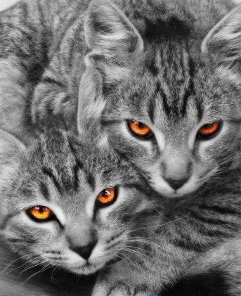 Евгений Овчаров