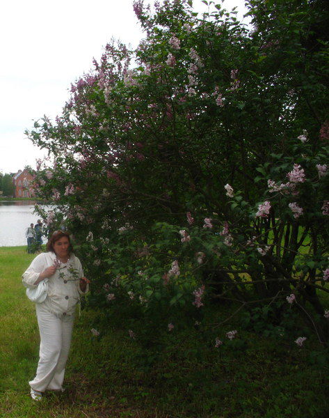 Светлана Романова