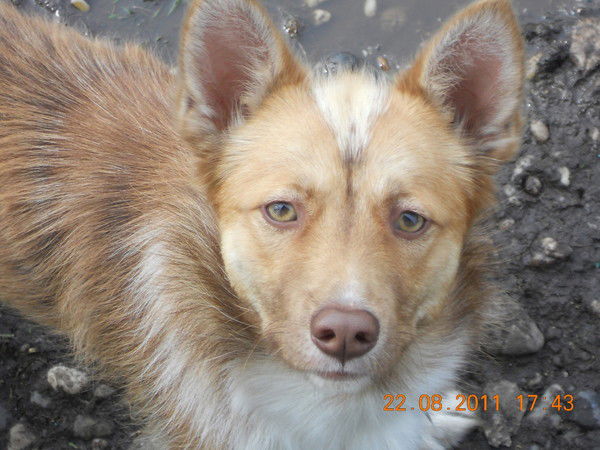 Надежда Гончаренко