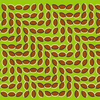 Вадим Жижин