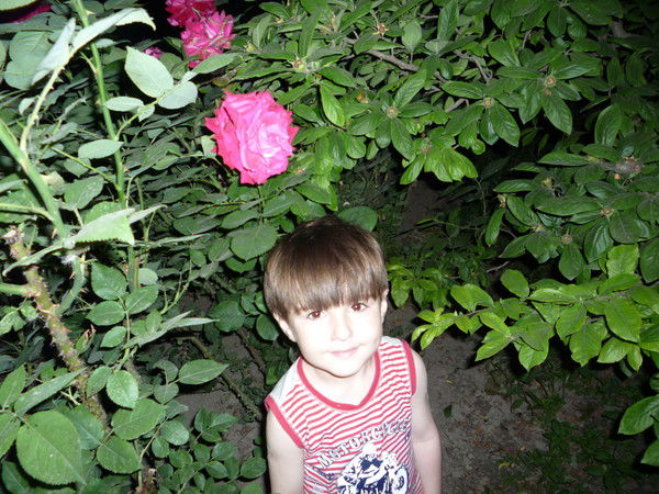 Шайма Магомедова