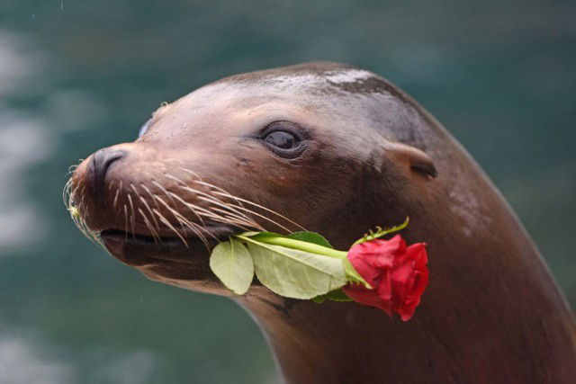 Андрей Глушковский