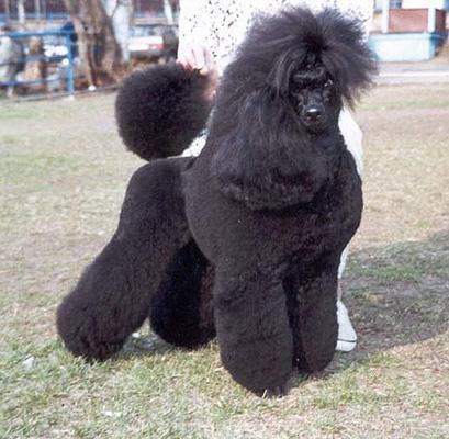 Олег Кудряшов