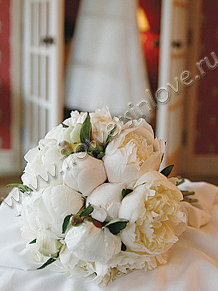 Наталья Наталья