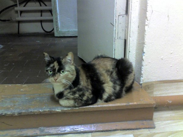 Наталья Ремизова