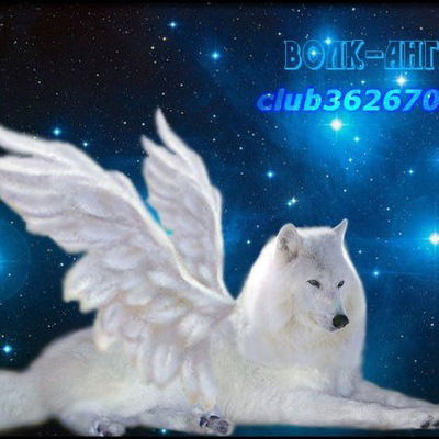 Антоний Галкин