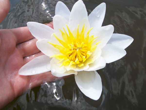 Наталья Ковалева