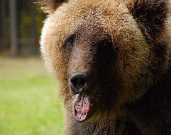 Александр Олейник