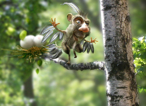 Николай Загорец