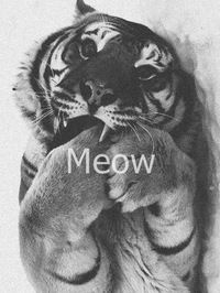 Вика Кошовенко