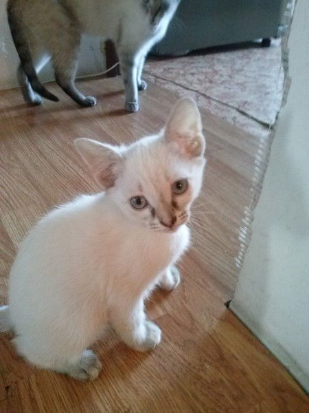 Юлия Савельева