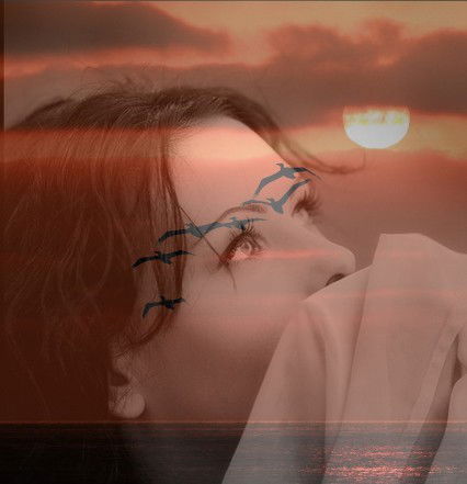 Лилия Нежная