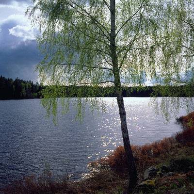 Нэли Какая -Есть