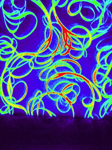 Максим Фомин