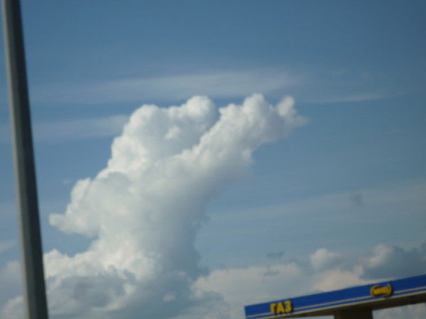 Александр Афичук