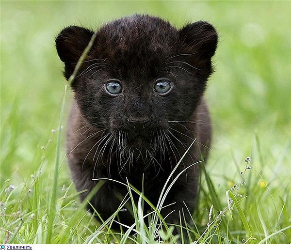 Виталий И......